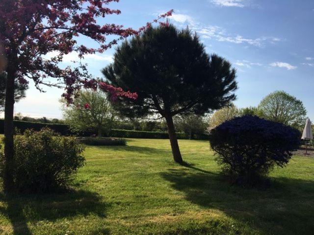Le Clos Saint Jean Dragey Exterior foto
